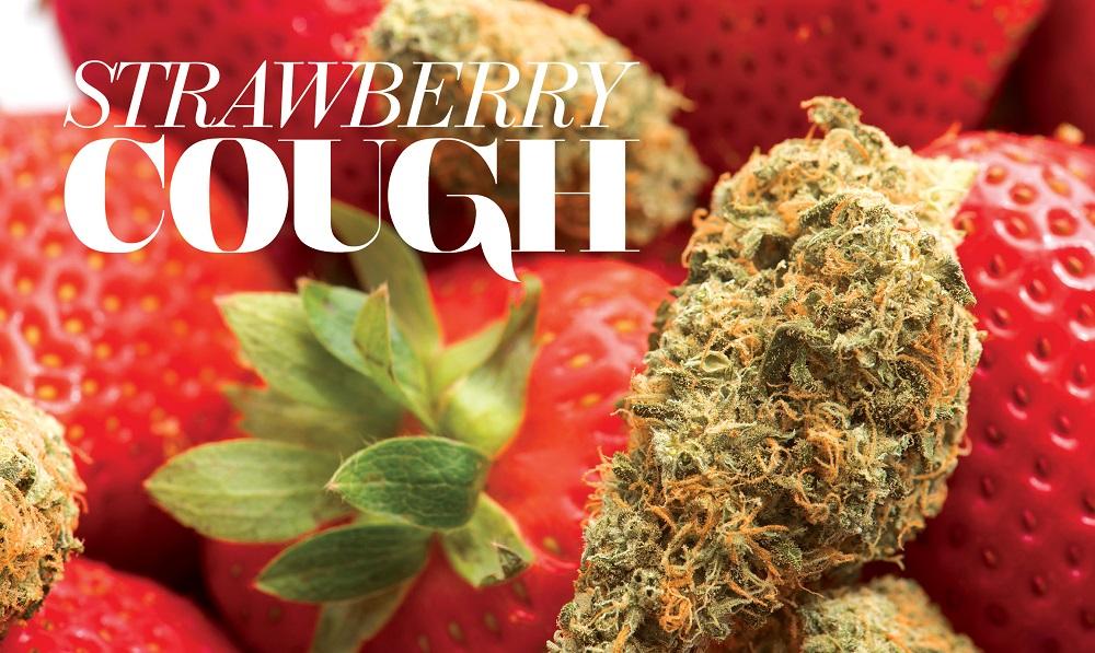 strawberry cough vs green crack